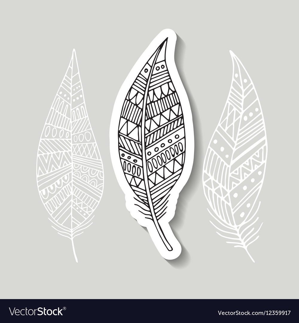 Pattern with the image of bird feathers boho