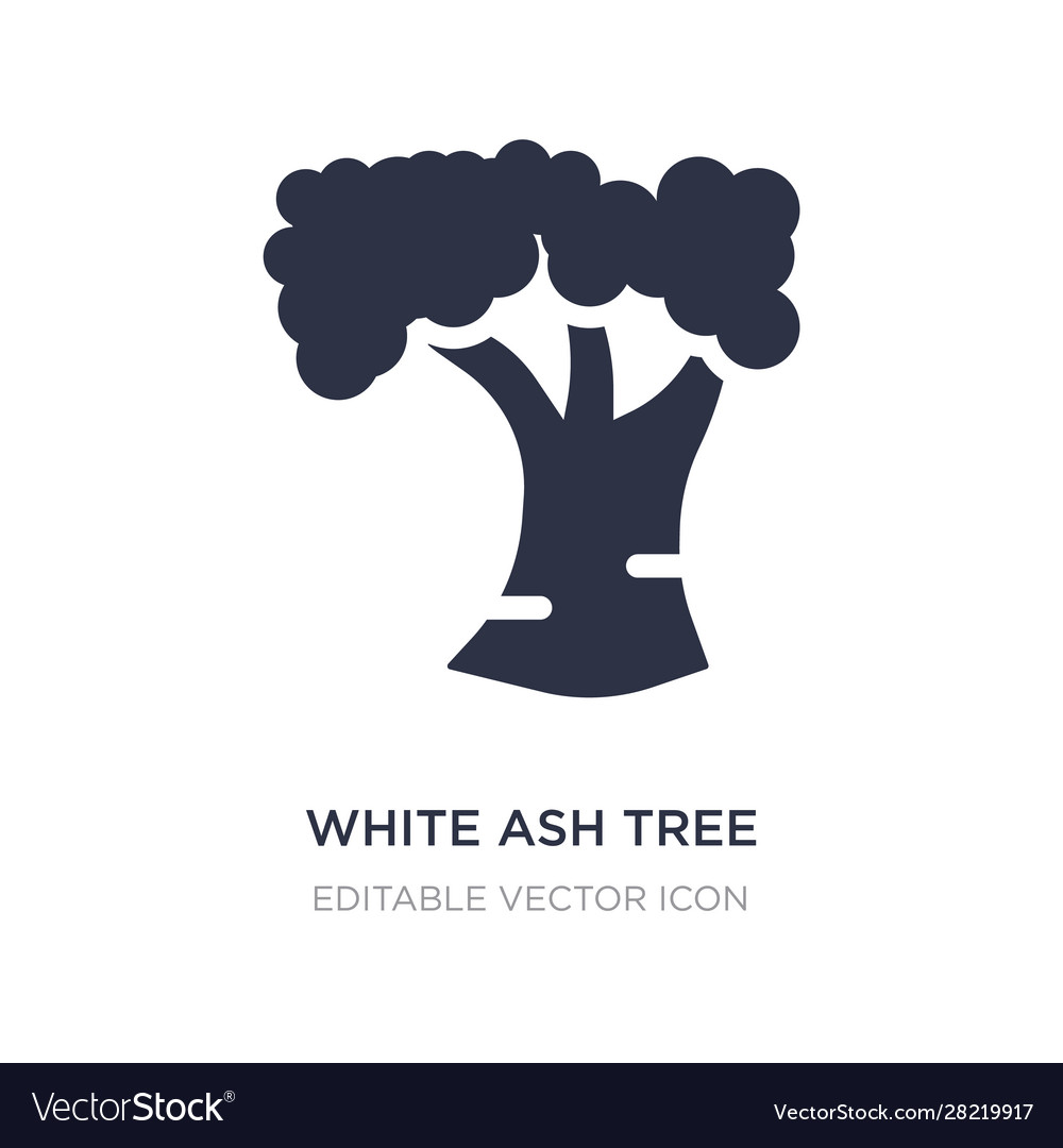 White ash tree icon on background simple