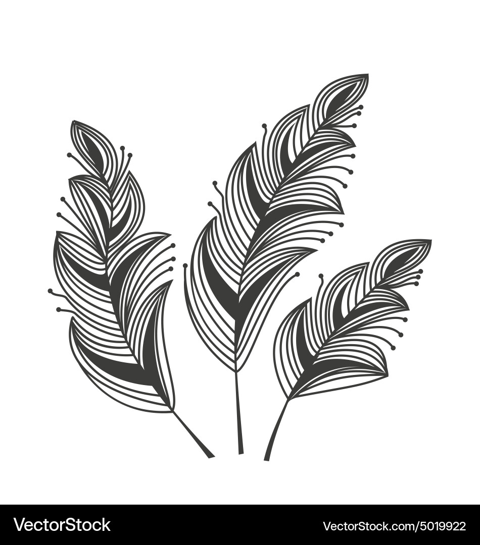Feathers Royalty Free Vector Image - VectorStock