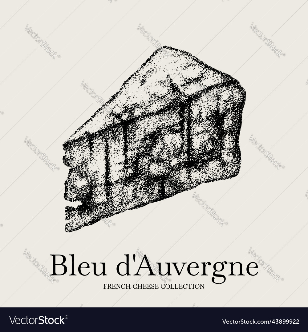 Hand drawn of roquefort blue cheese template