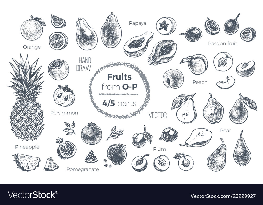 Fruits hand drawn sketch icons set organic food