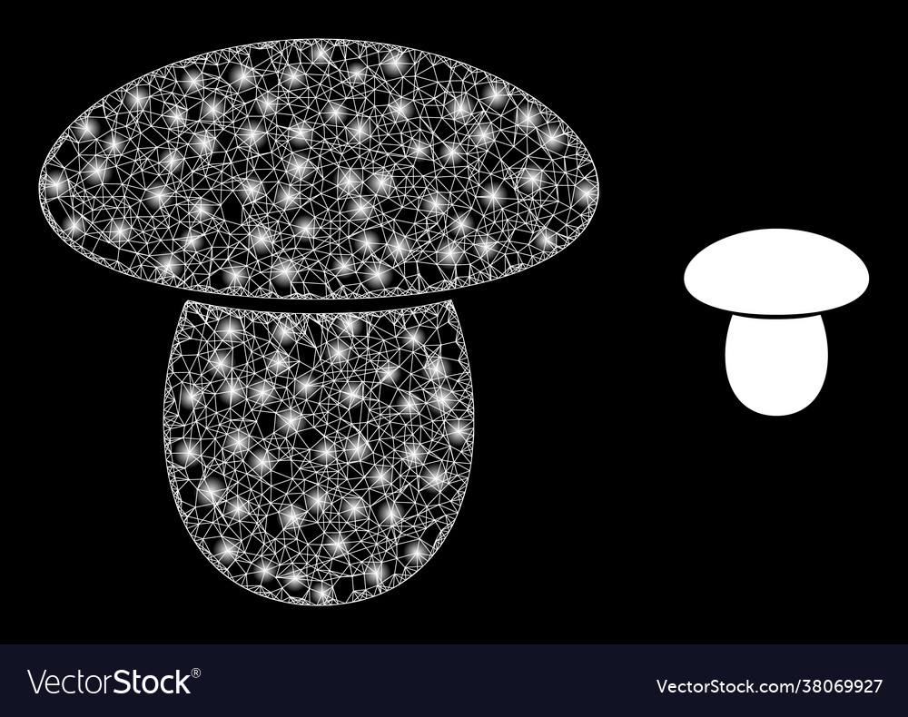Shiny web mushroom with color light spots