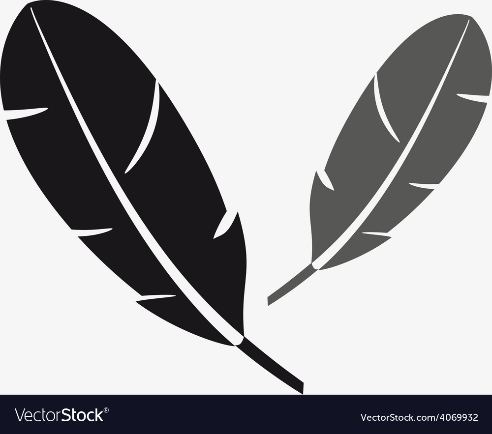 Black and gray two feathers symbols eps10