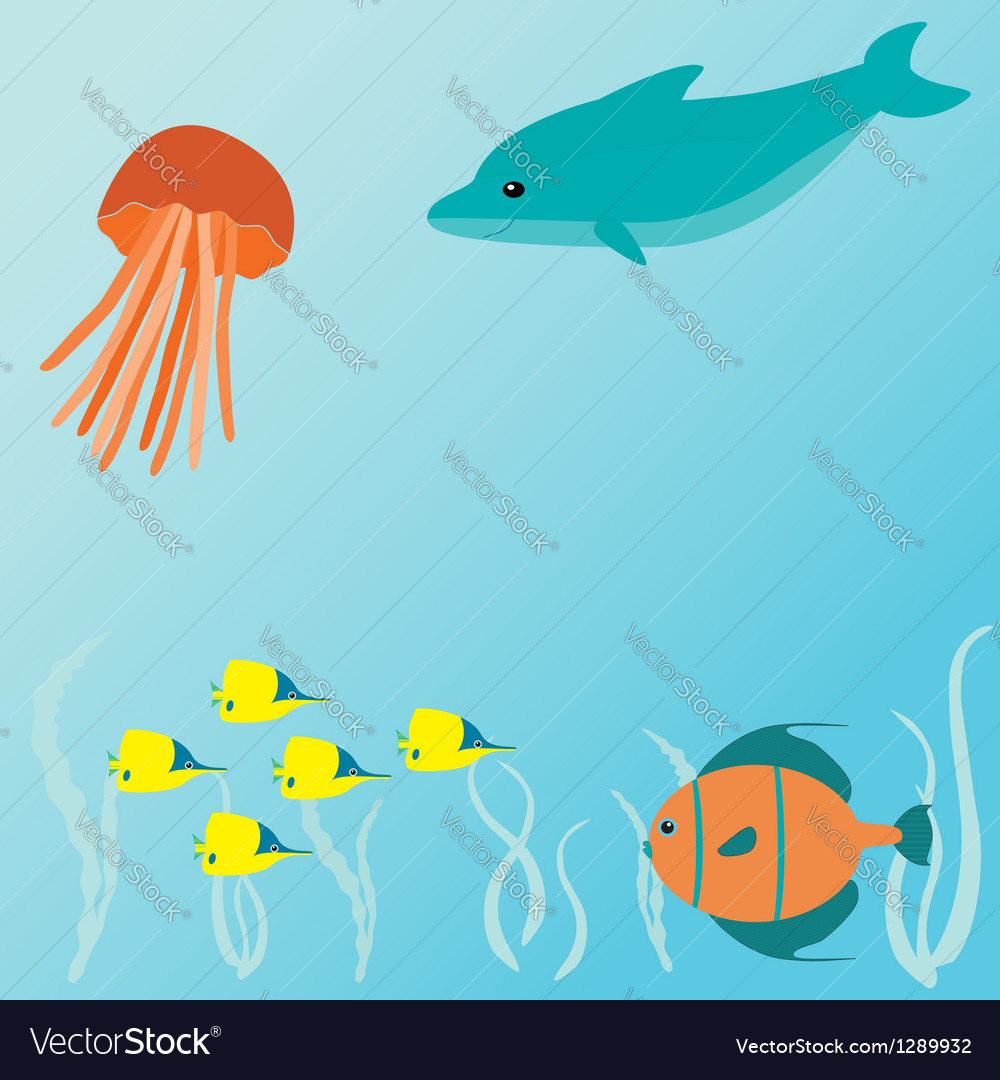 Marine Sea Creatures Card