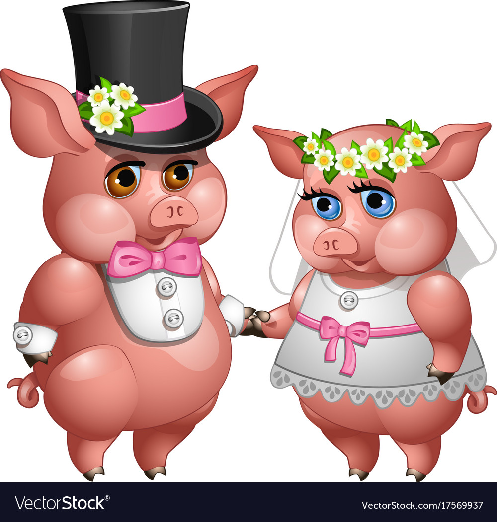 Marriage bride and groom pigs in wedding suits Vector Image