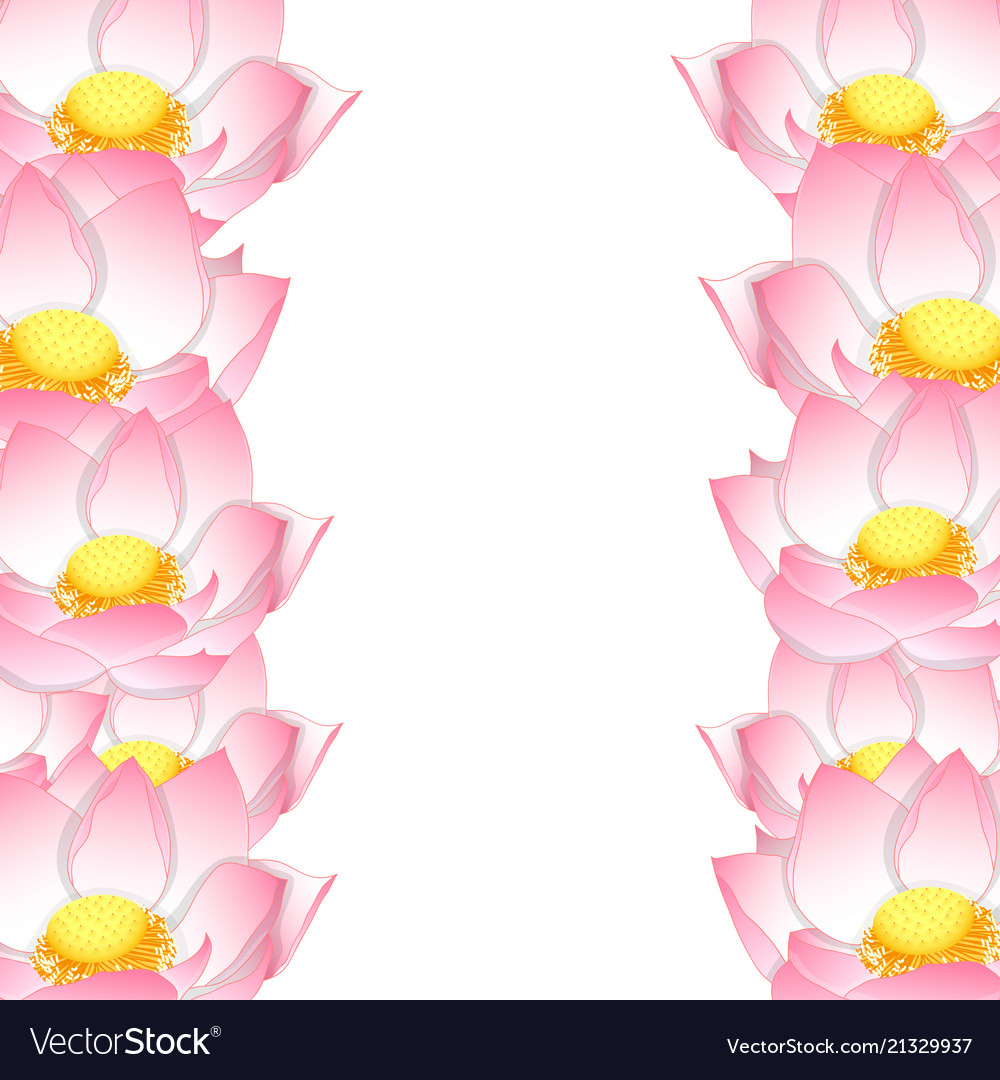 Pink indian lotus border Royalty Free Vector Image