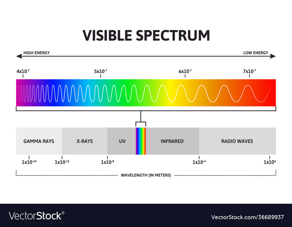 Visible color spectrum sunlight wavelength and Vector Image