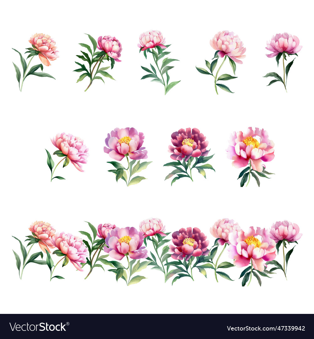 Bellis perenniswatercolor flowers set hand drawn