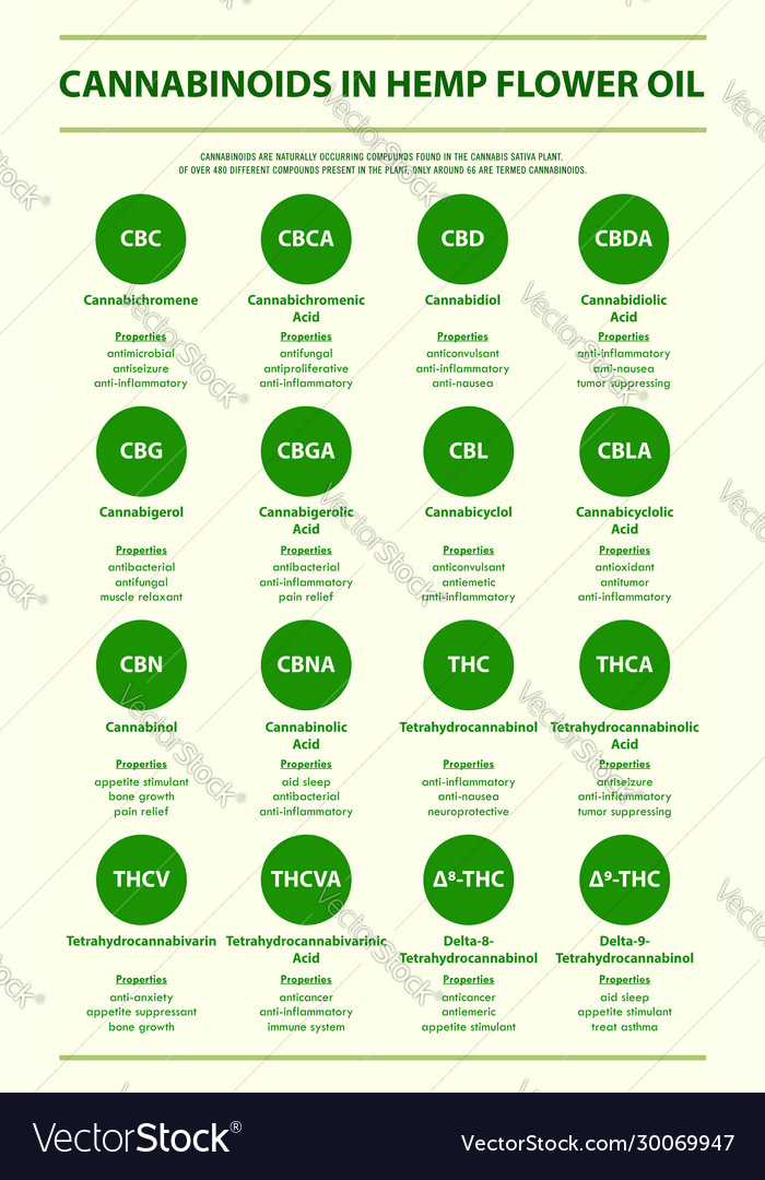 Cannabinoids in hemp flower oil with structural Vector Image