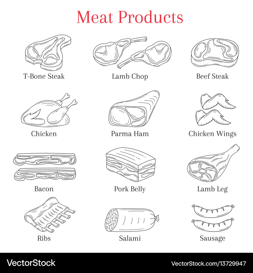 Meat products Royalty Free Vector Image - VectorStock