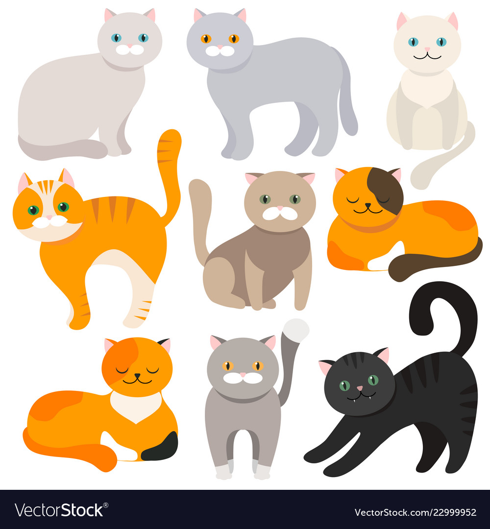 Set Of Icons With Cats Flat Design Vector Stock Illustration