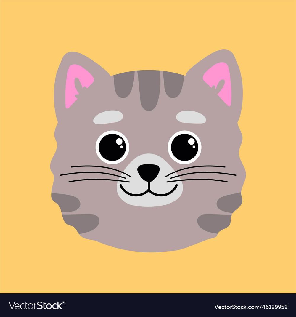 Grey breed cat Vector Image Grey breed cat