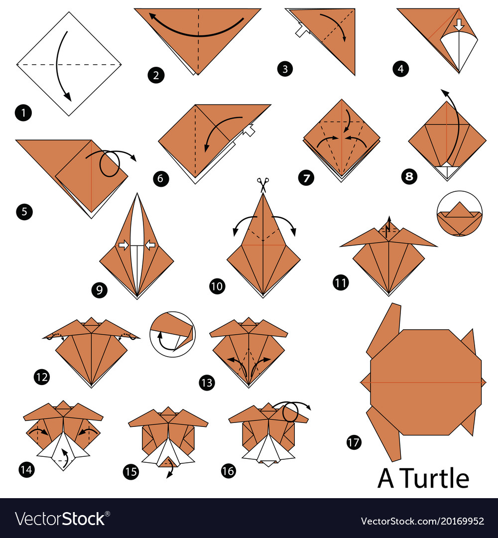 Step Instructions How To Make Origami A Turtle