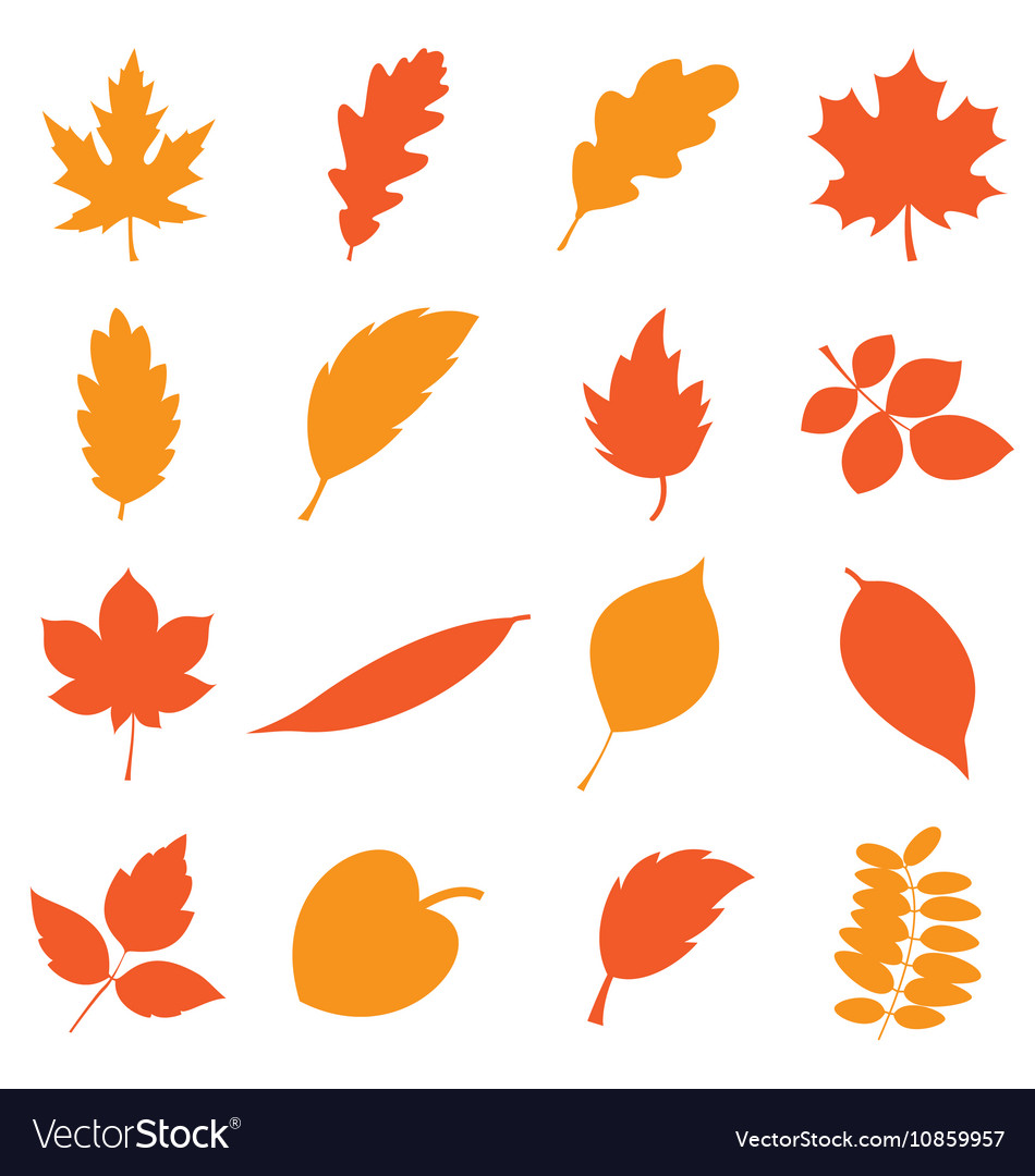 Autumn leaves