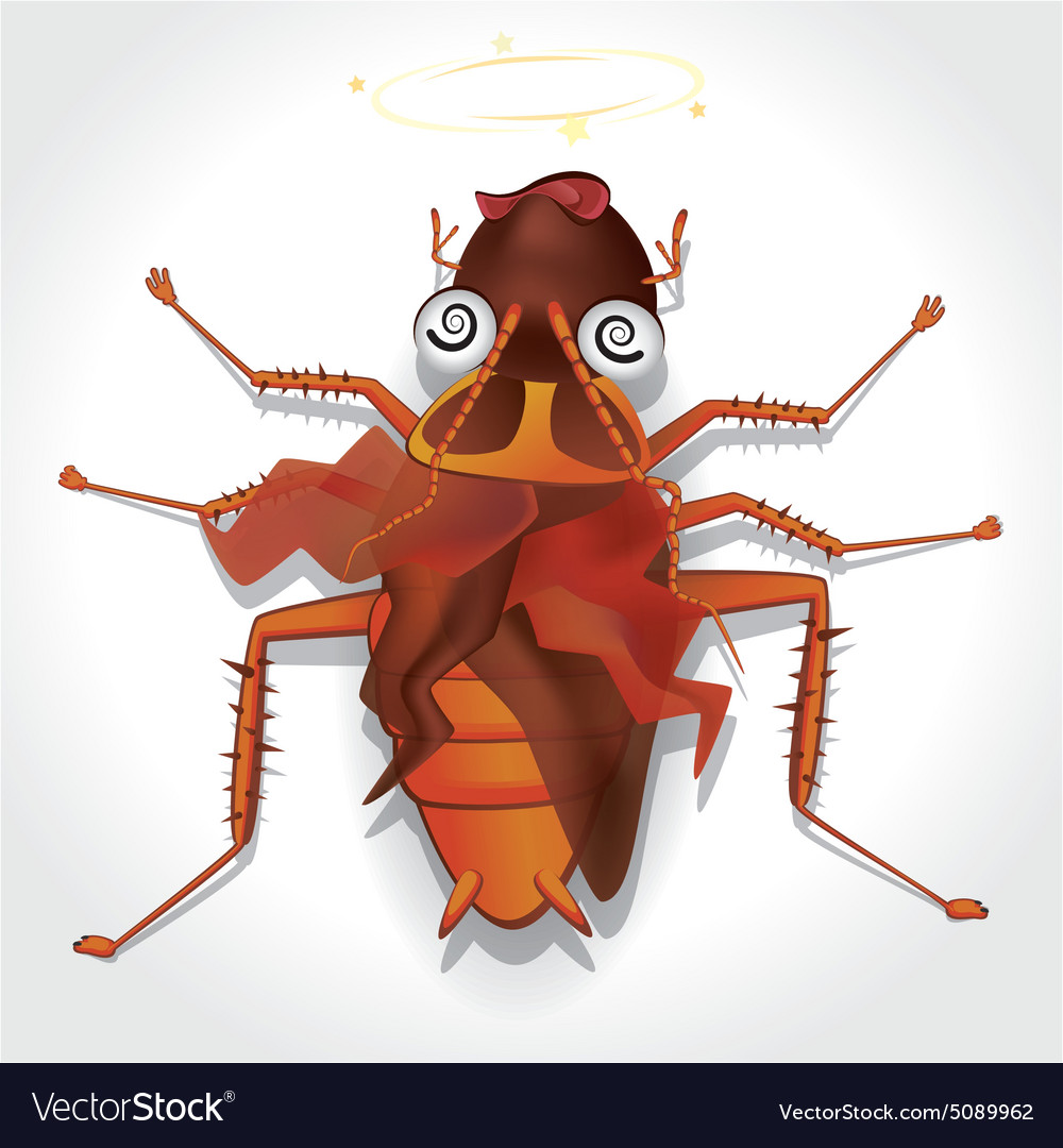 Cockroach 03