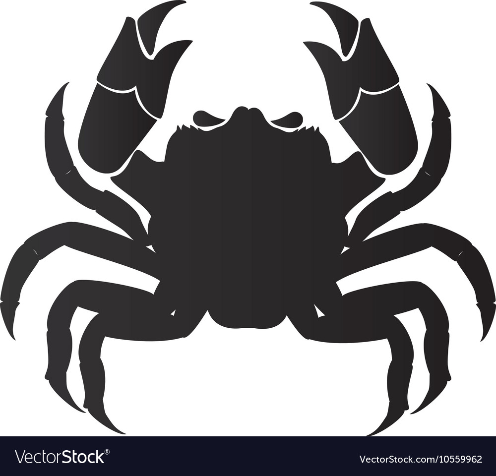 Crab animal cancer zodiac