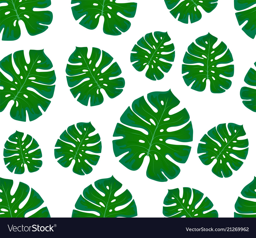 Monstera seamless pattern print with leaves