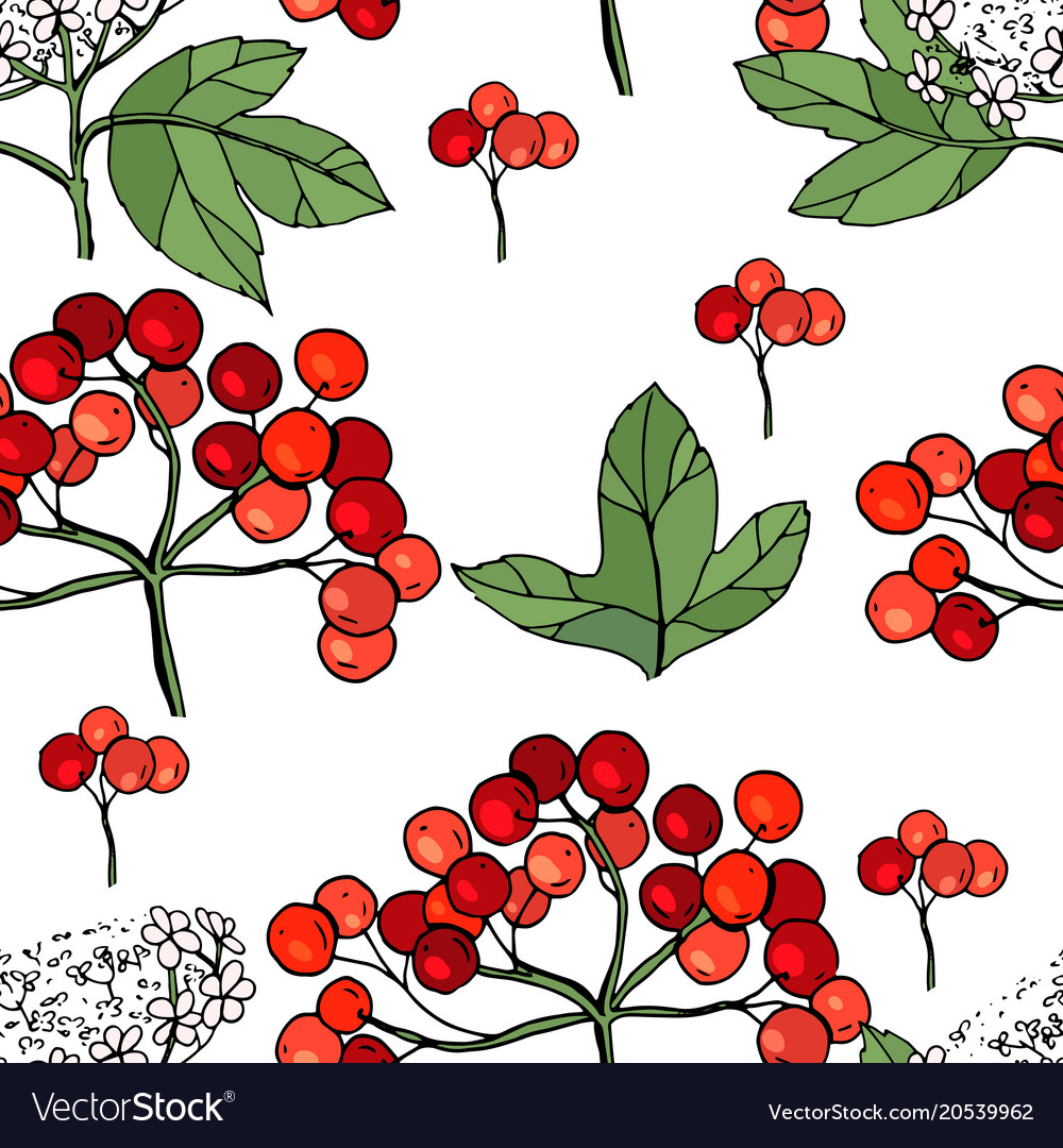 Seamless pattern with viburnum endless texture