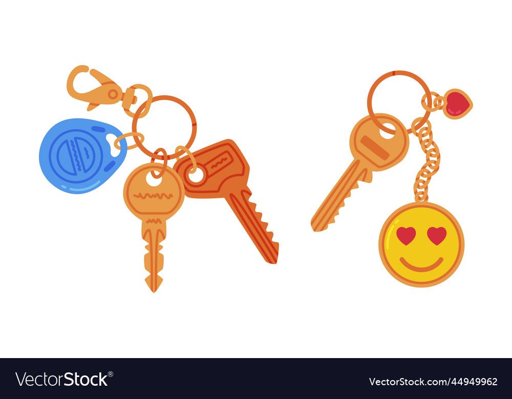 Trinket with key hanging keychain or keyring Vector Image Trinket with key hanging keychain or keyring