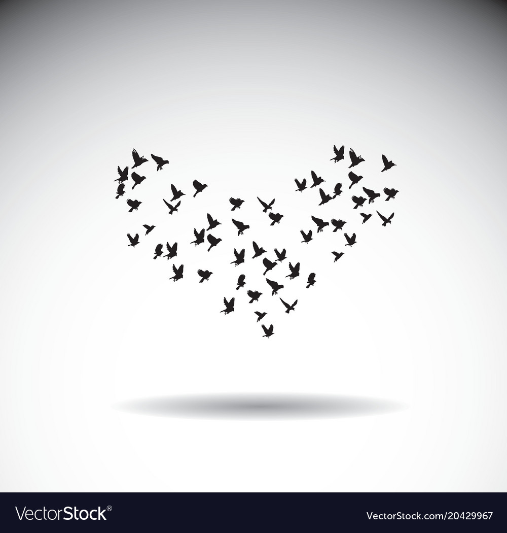 love birds heart silhouette