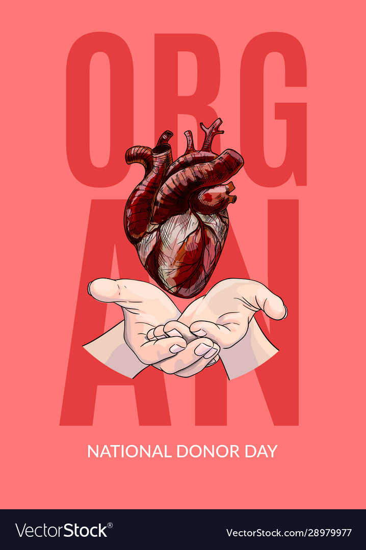 Human Heart In Hands Organ Donor Day Poster Vector Image