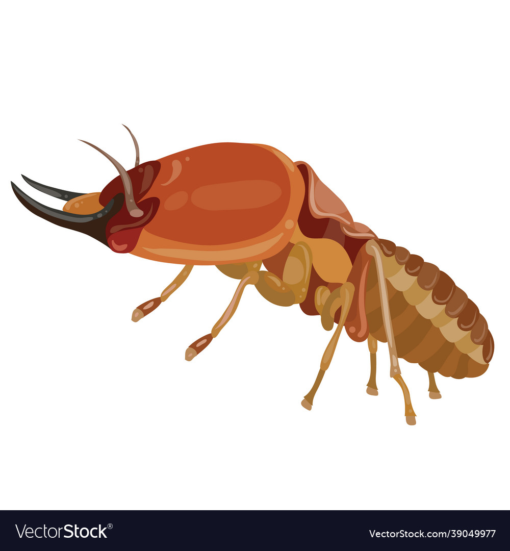 Termite insect in brown color cartoon isolated Vector Image Termite insect in brown color cartoon isolated Vector Image