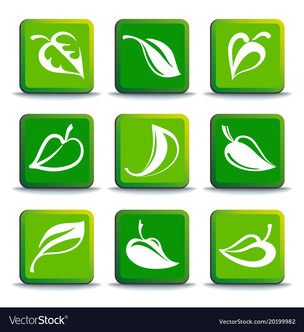 Leaves buttons
