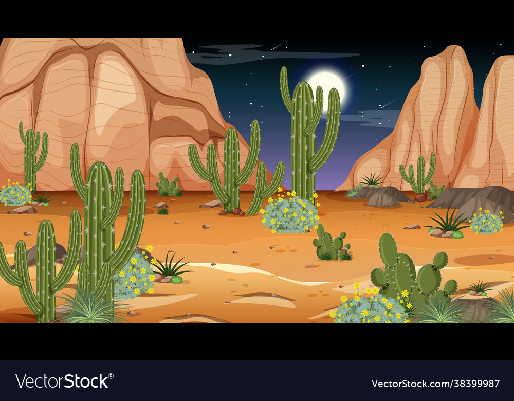 Desert forest landscape at night scene