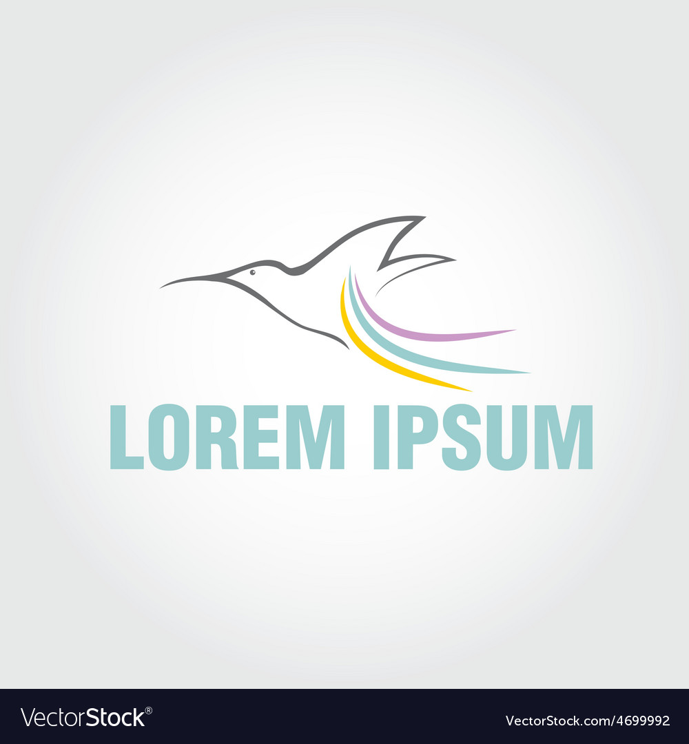hummingbird design template royalty free vector image