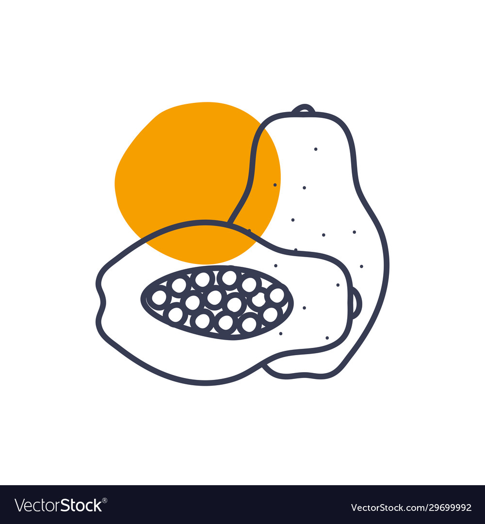 Isolated papaya fruit line color style icon Vector Image