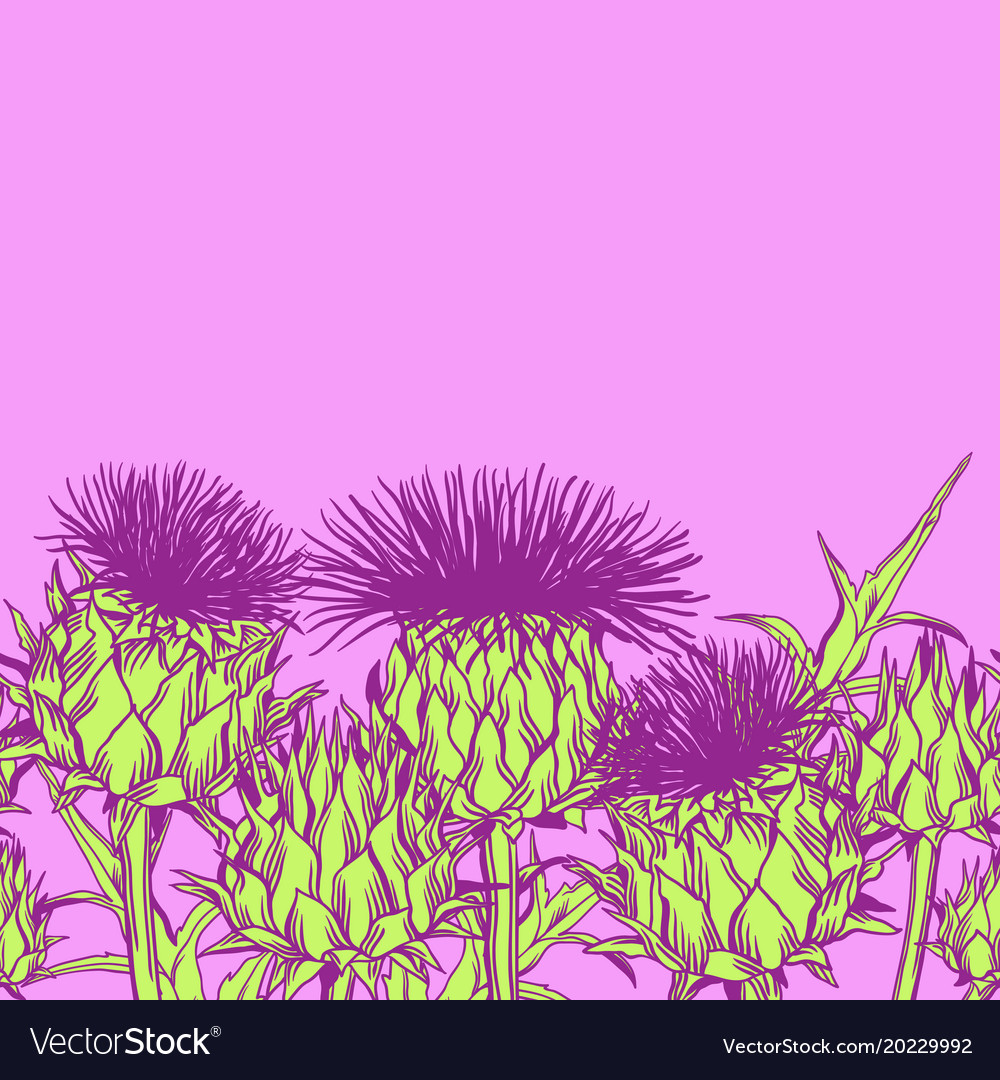 Seamless pattern with onopordum acanthium