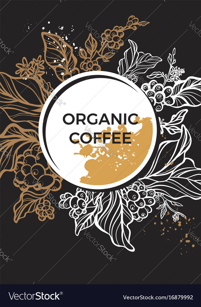 Template coffee Royalty Free Vector Image - VectorStock