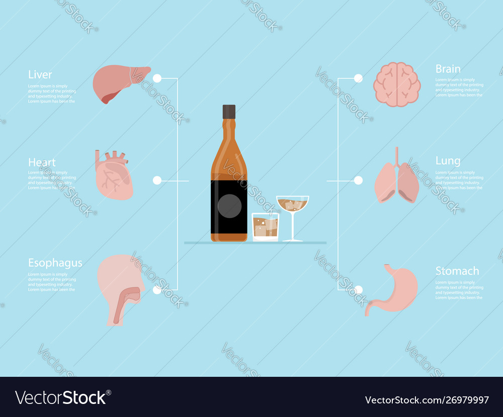 Infographics alcoholism addiction destroyed Vector Image