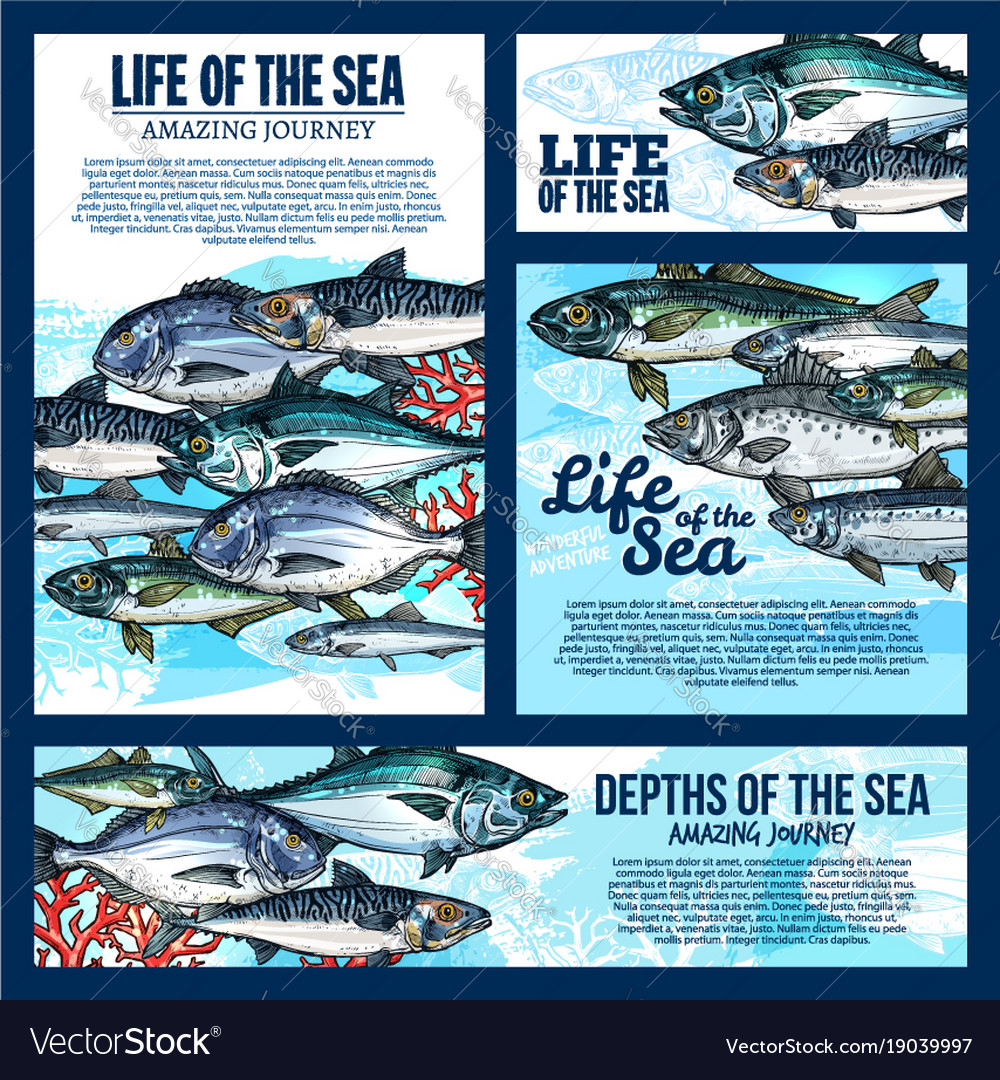 Sea Life Banner With Fish And Ocean Animal Sketch Vector Image