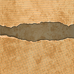 old torn paper set vector