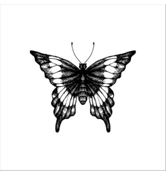 Hand drawn butterfly Royalty Free Vector Image