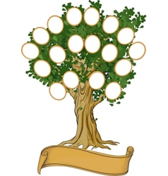 Family tree Royalty Free Vector Image - VectorStock