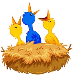 Baby birds crying in the nest Royalty Free Vector Image