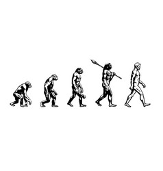 Stages of human evolution with pictures and names picture