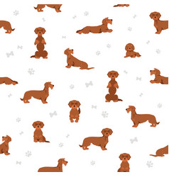 Yoga dogs poses and exercises dachshund seamless Vector Image