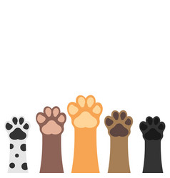 Dog and cat above white banner Royalty Free Vector Image