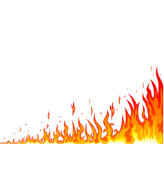 Burning fire flame on a white background Vector Image