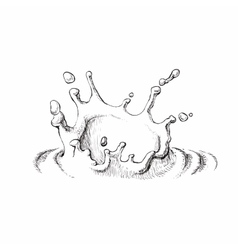 Milk Splash Drawing Vector Images Over 710