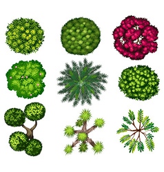 Tree Top Vector Images (over 5,000)