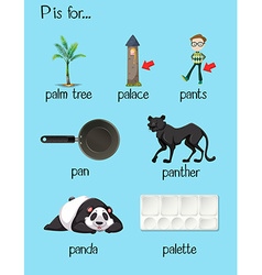 Many words begin with letter p Royalty Free Vector Image