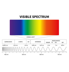 Visible light spectrum color waves length Vector Image