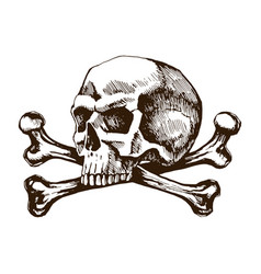 Skull and crossbones Royalty Free Vector Image