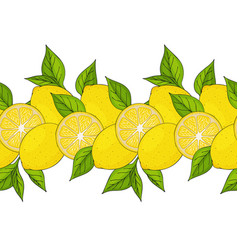 Lemon Border Vector Images (over 730)