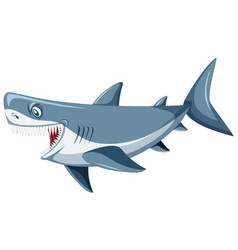 Cartoon shark Royalty Free Vector Image - VectorStock