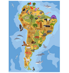 South america flora and fauna map flat elements Vector Image